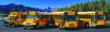 Blue Bird Corporation Nominated for the 2013 Georgia Manufacturer of...